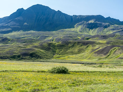 DSCF2537.jpg