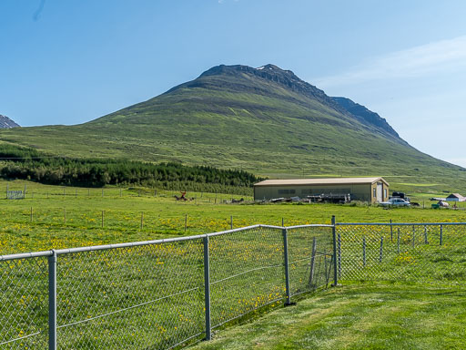 DSCF2538.jpg