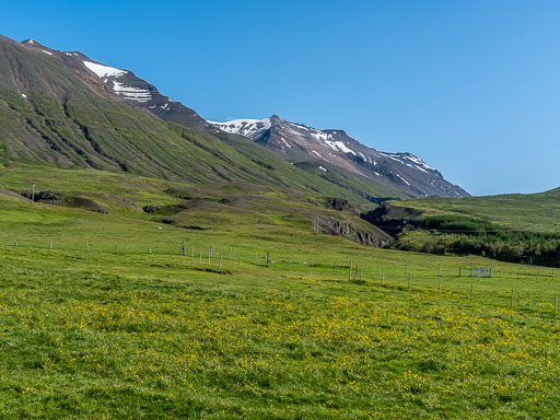 DSCF2539.jpg