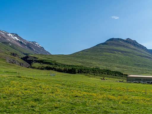 DSCF2540.jpg