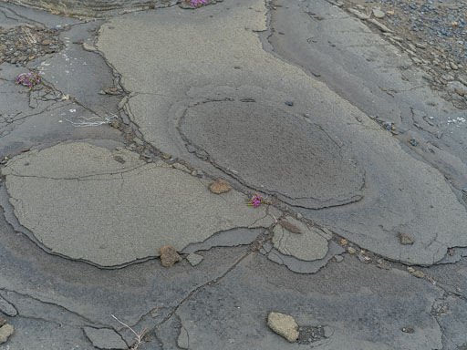 DSCF2545.jpg