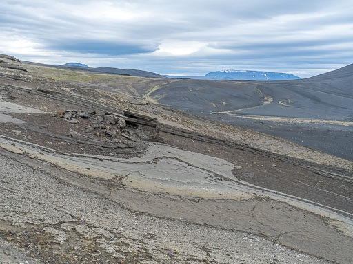 DSCF2546.jpg