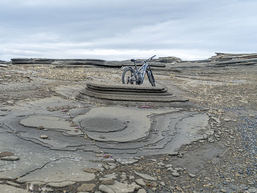 DSCF2547.jpg