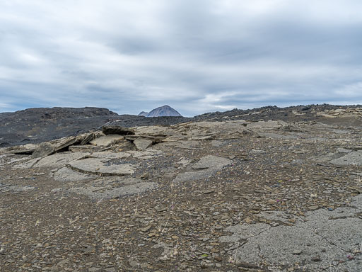 DSCF2548.jpg