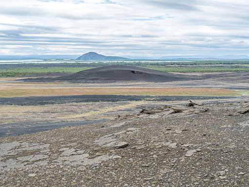 DSCF2551.jpg