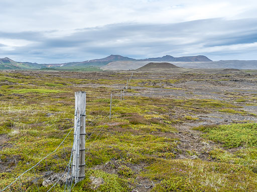DSCF2568.jpg