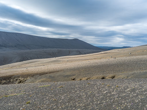 DSCF2571.jpg