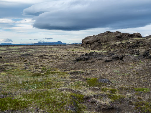 _DSF2649.jpg