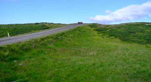 _DSF2834.jpg