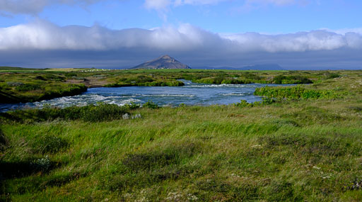 _DSF2839.jpg