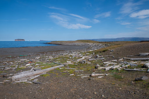 K1__6877.jpg