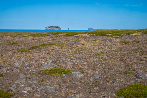 K1__6902.jpg