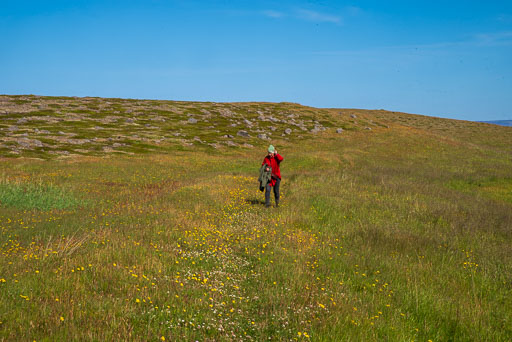 K1__6903.jpg