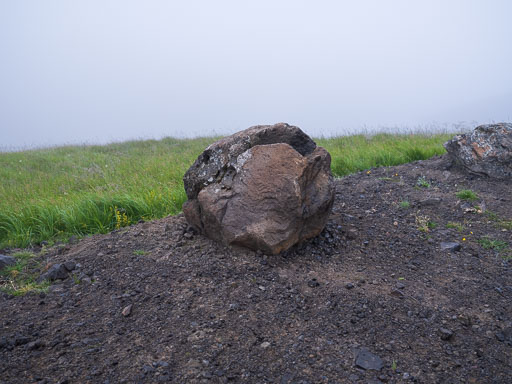 _DSF2937.jpg