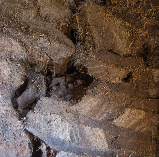 _DSF2968.jpg