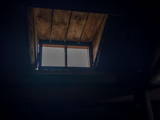 _DSF2973.jpg