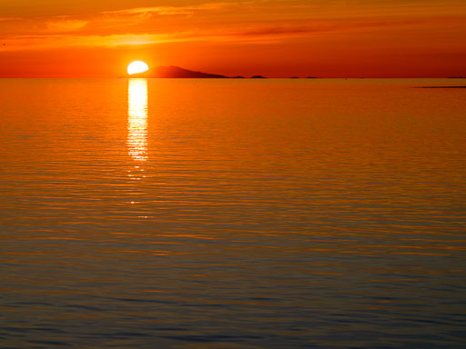 DSCF3431.jpg