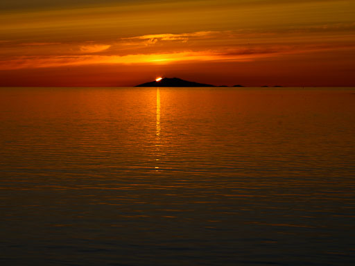 DSCF3437.jpg