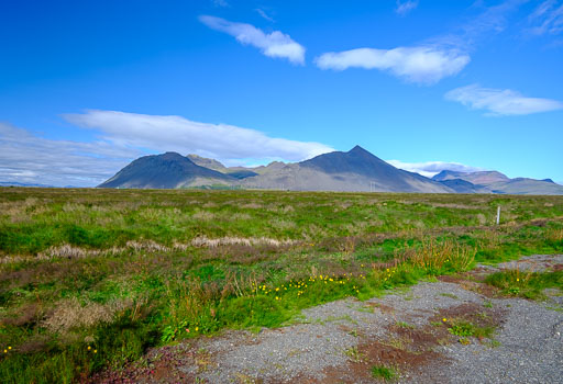 DSCF3374.jpg