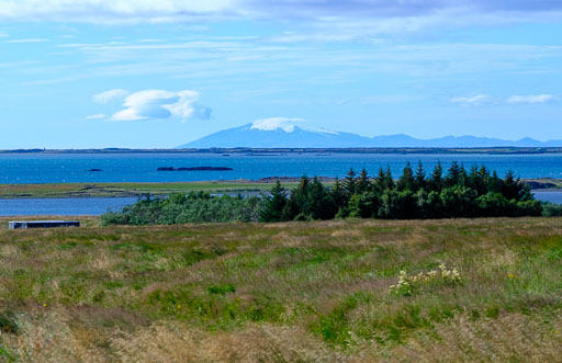 DSCF3376.jpg
