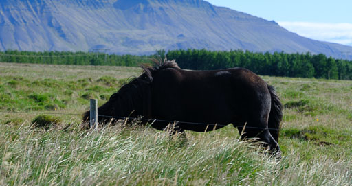 DSCF3380.jpg