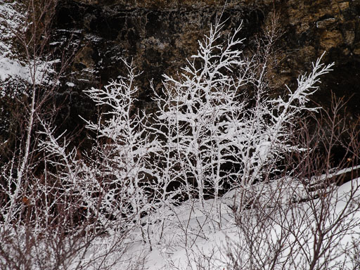 13. Janúar 2025
 Hero