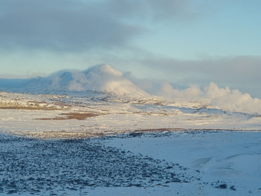 14. Janúar 2026
 Hero