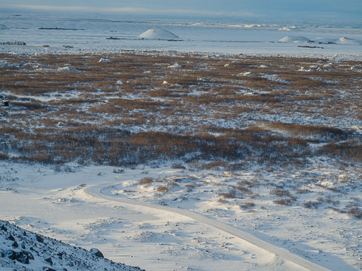 14. Janúar 2026
 Hero