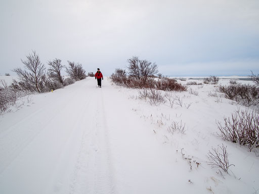 16. Janúar 2026
 Hero