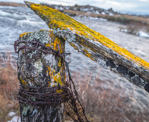 26. Janúar 2026
 Hero