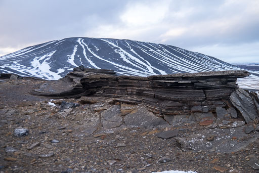 27. janúar 2026
 Hero