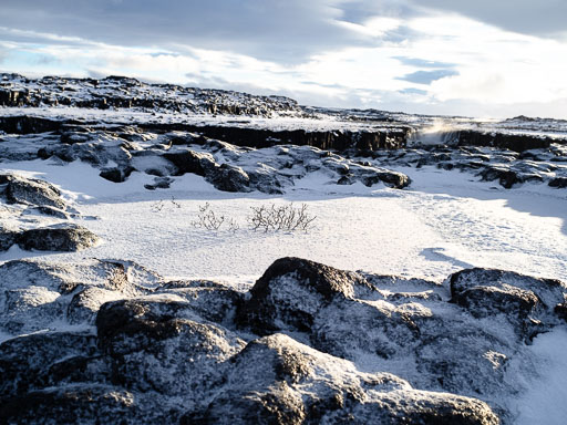 29. Janúar 2026
 Hero