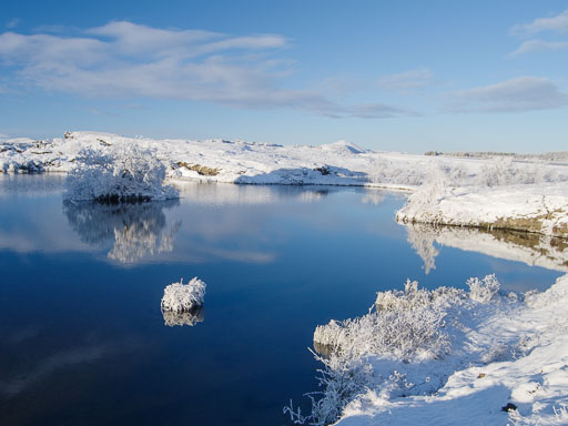 1. febrúar 2026
 Hero