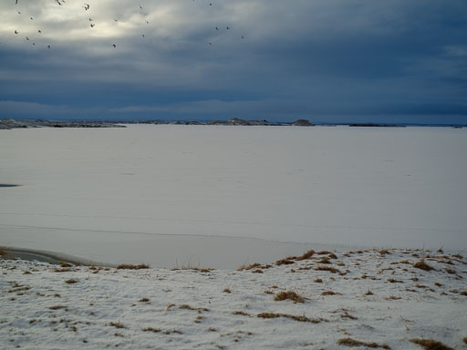 8. febrúar 2026
 Hero