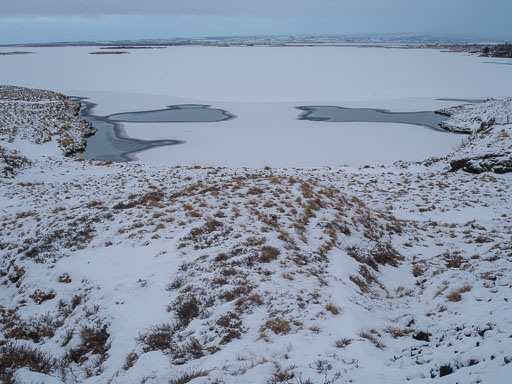 8. febrúar 2026
 Hero