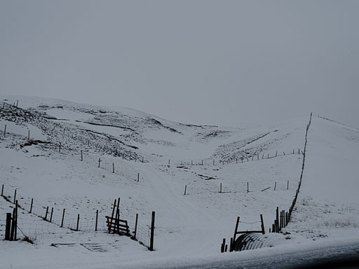 9. febrúar 2026
 Hero