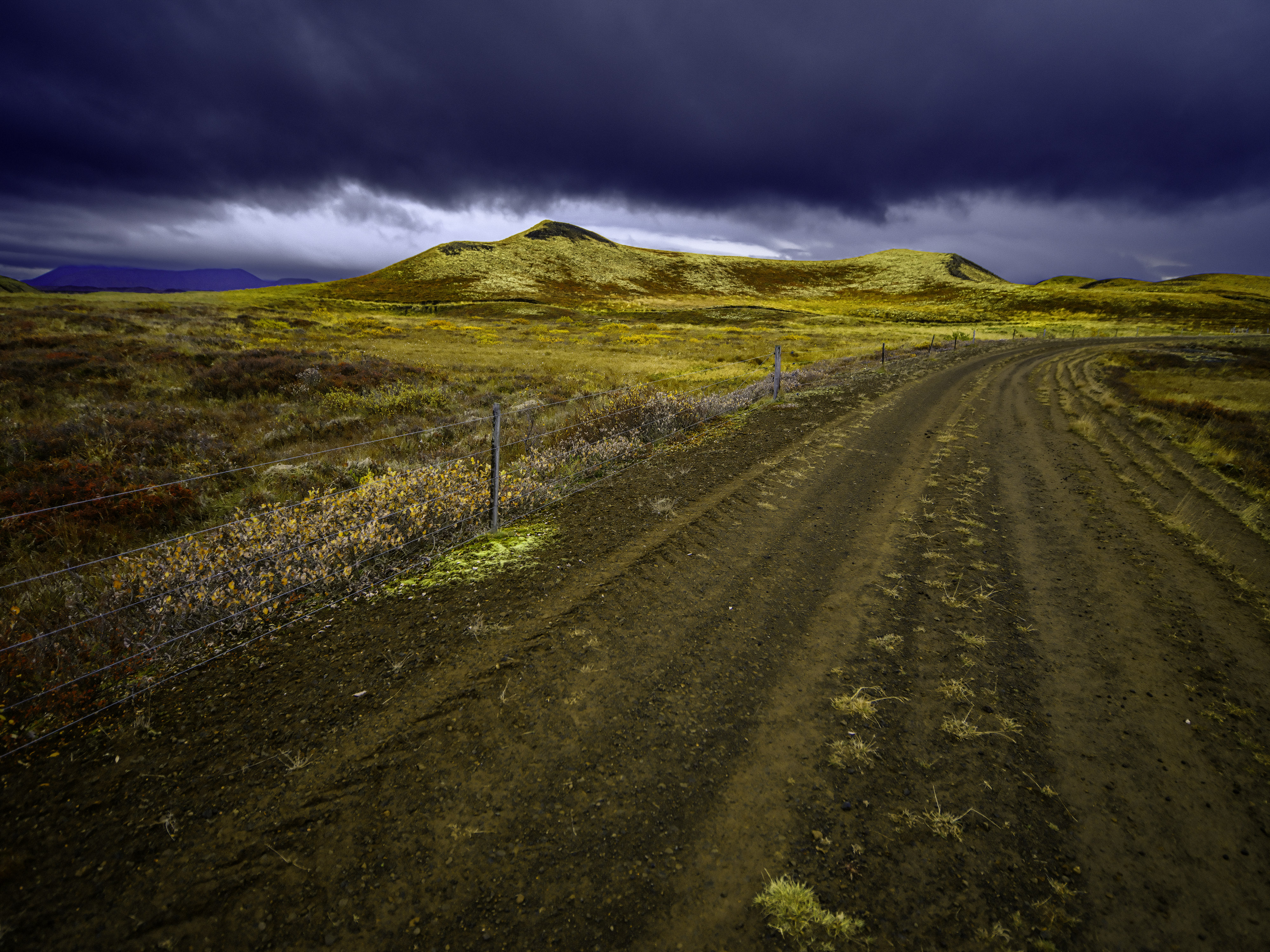 IMG "alt" Attribute