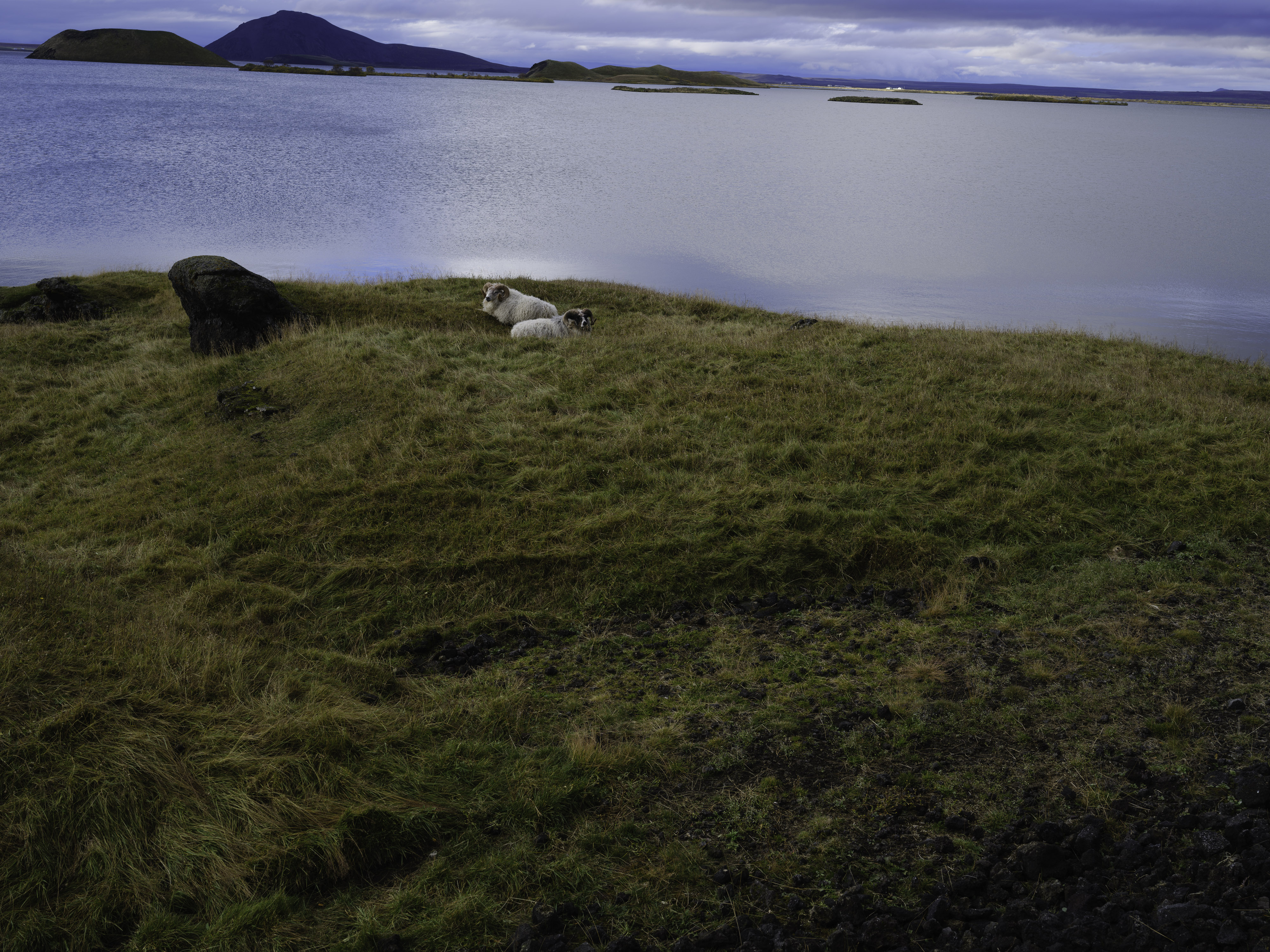 IMG "alt" Attribute