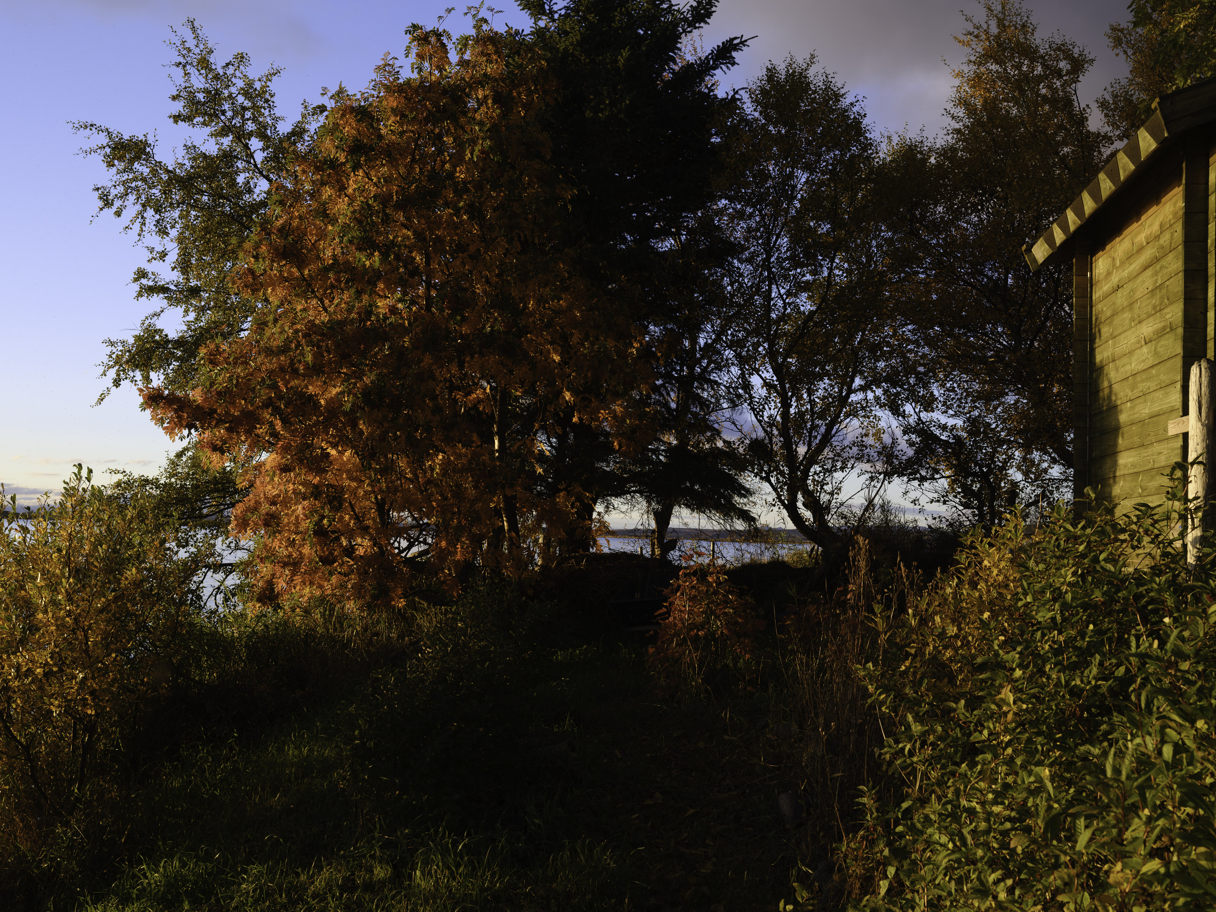 IMG "alt" Attribute