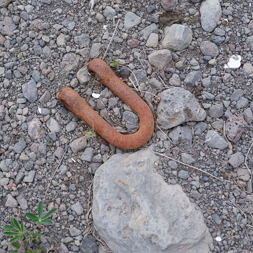 DSCF0544.jpg