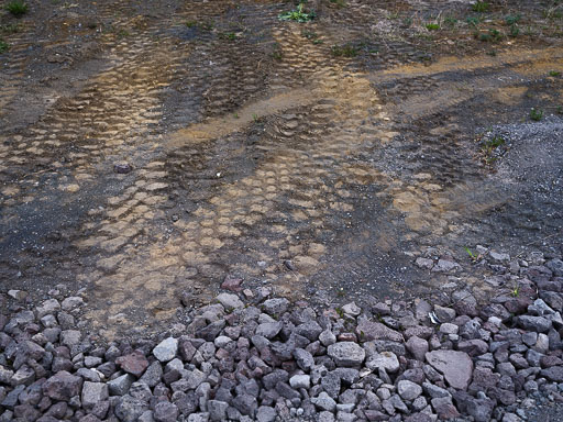 DSCF0546.jpg
