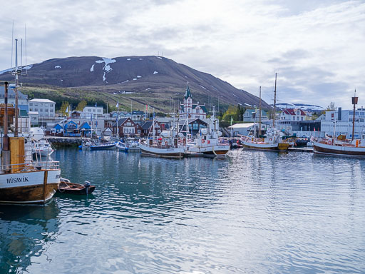 DSCF0582.jpg