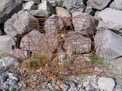 DSCF0597.jpg