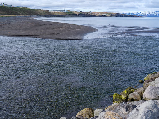 DSCF0600.jpg