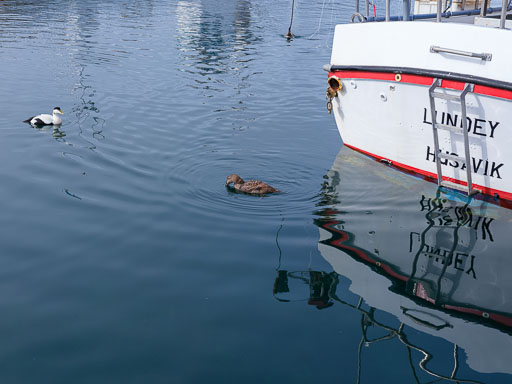 DSCF0603.jpg