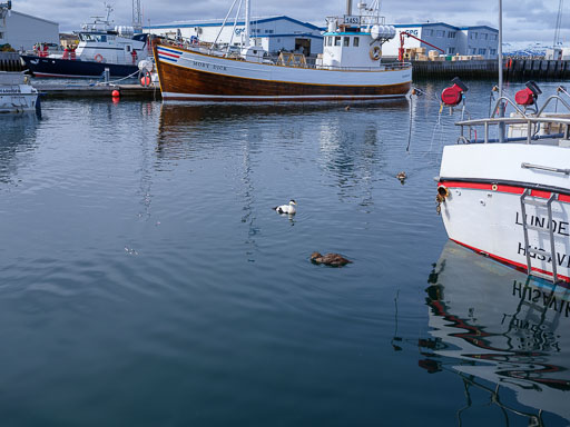 DSCF0604.jpg