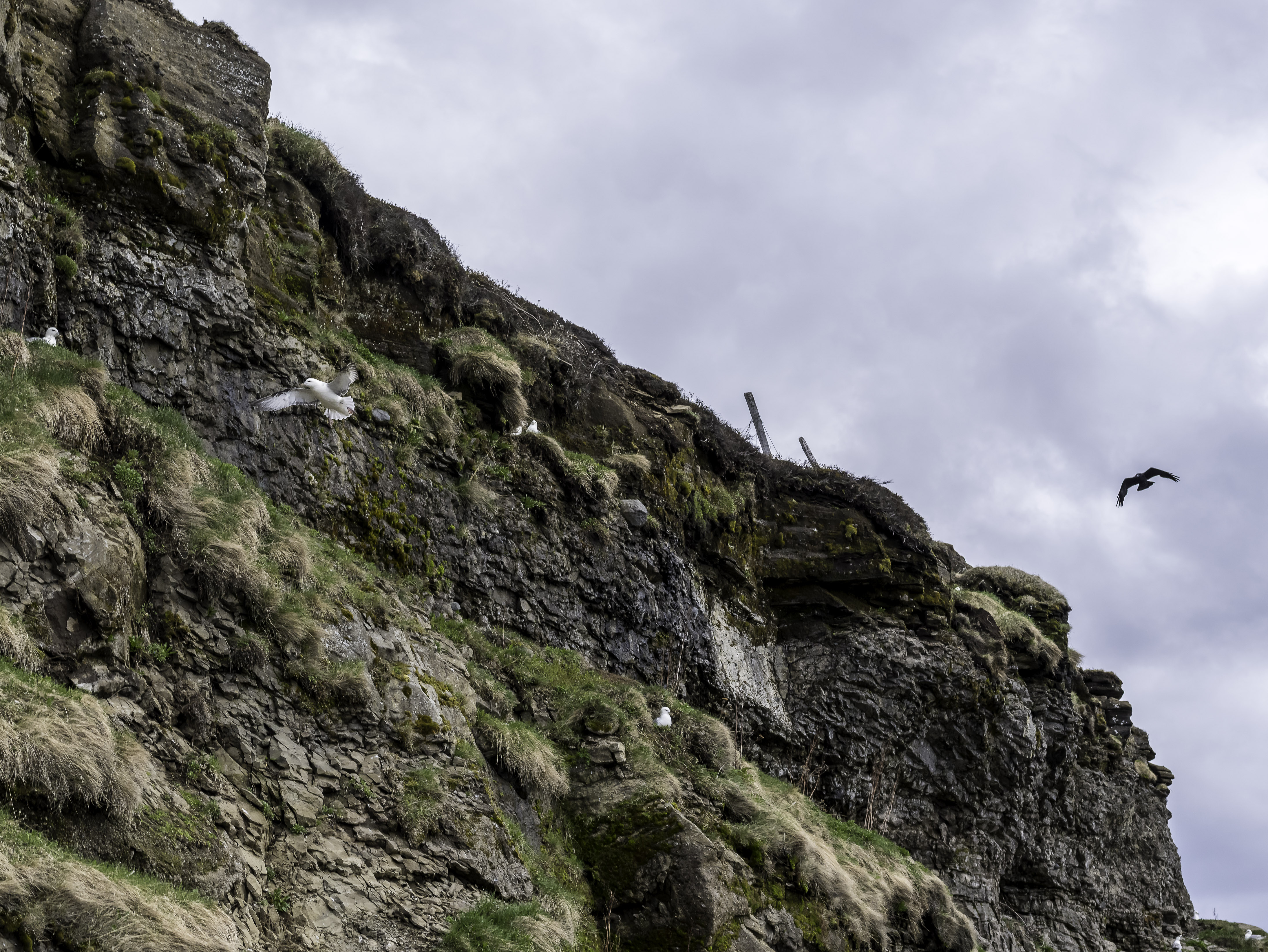 DSCF0804.jpg DSCF0804.jpg