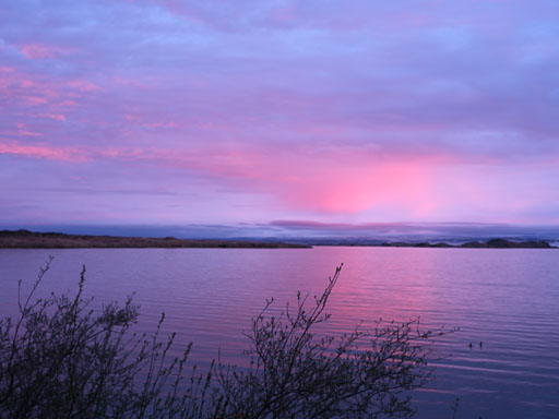 DSCF1393.jpg