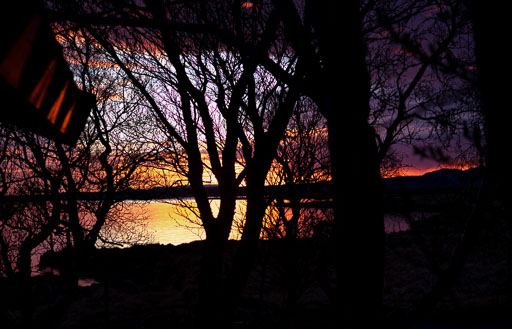 DSCF1394.jpg
