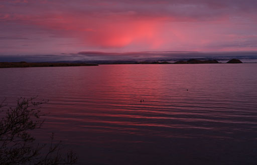 DSCF1396.jpg